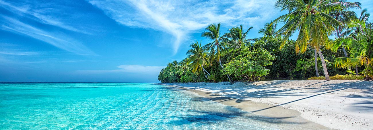 a beautiful tropical beach in the Caribbean with clear blue water, white sand, and palm trees